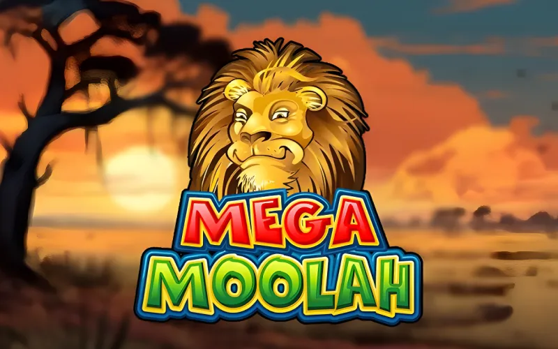 You can try Mega Moolah on 888starz, which has an African theme.